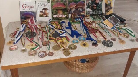 Į mišką – per grybų tiltus (3)