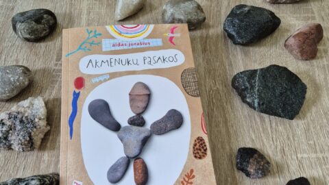 Akmenukų pasakos (6)
