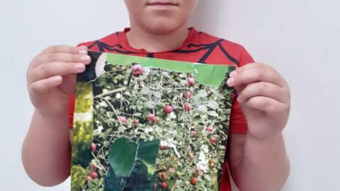 Koliažas plėšyk ir klijuok (1)