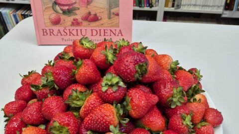 Braškių diena (7)