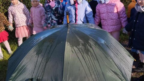 Vejų ir lietaus istorijos (1)