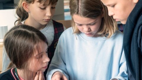 Vilko pėdsakais į Gedimino sapną (5)