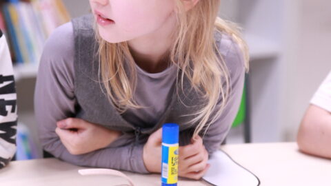 Europos sveikos mitybos diena (9)