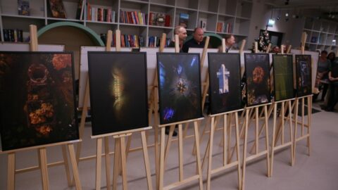 Rudamina-foto-atspindy (6)