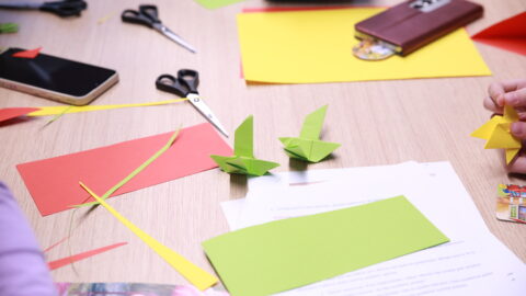 Kas yra laisvė vaiko akimis (11)