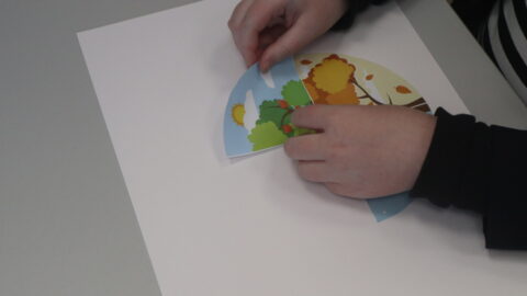 Mano svajonių metai (2)