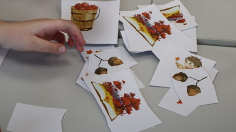 Mano svajonių metai (4)