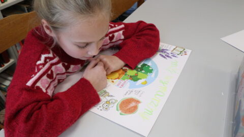 Mano svajonių metai (8)