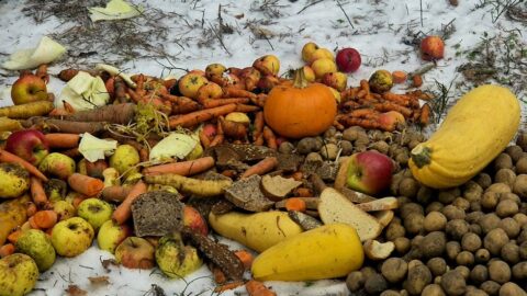 Padėkime žvėreliams žiemą (4)