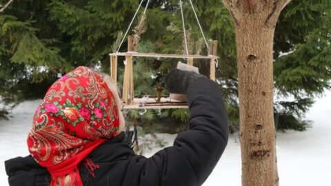 Į pagalbą paukšteliams (10)