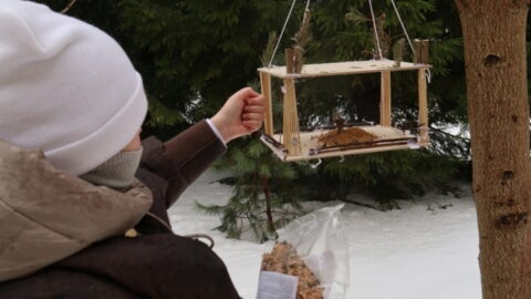 Į pagalbą paukšteliams (11)