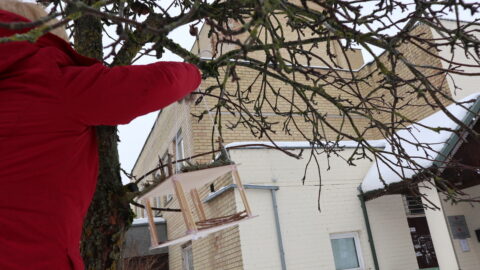 Į pagalbą paukšteliams (2)