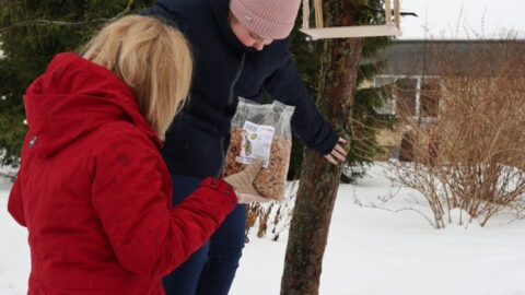 Į pagalbą paukšteliams (3)