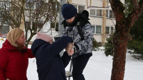 Į pagalbą paukšteliams (5)