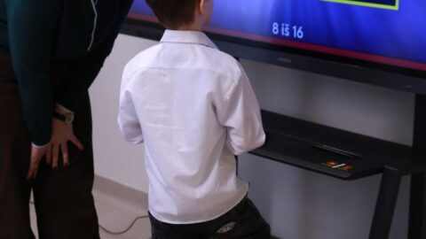 Lietuvos spalvų diena (4)