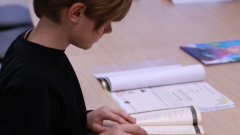 Meilės magija knygų klube (2)