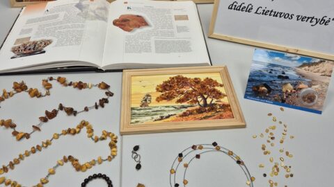 Kuo didžiuojasi Lietuva (5)