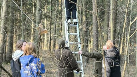 Mylėkime gamtą – kelkime inkilus (4)