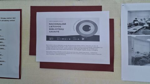 Biblioteka sujungia (5)