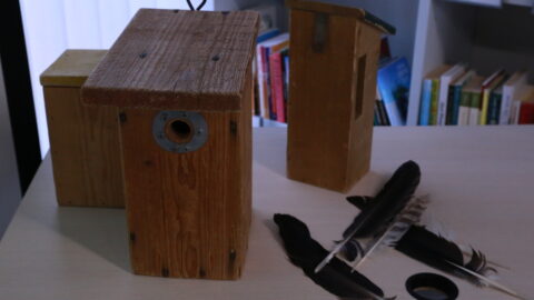 Gedimino Petkaus edukacija (1)