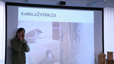 Gedimino Petkaus edukacija (11)