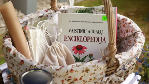 Šeimos šventė bibliotekoje (85)