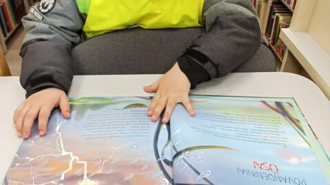 Bibliotekos svečiai – darželinukai, būsimi skaitytojai (2)