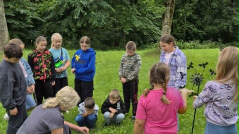 Gyvas vabzdžių pasaulis (4)