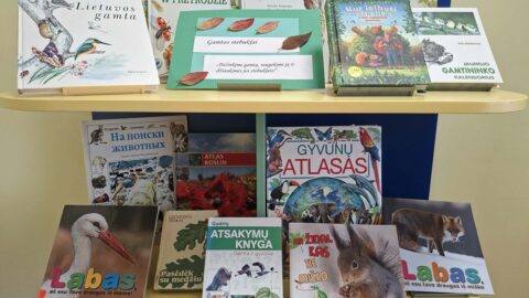 Automatiškai išsaugotas juodraštis